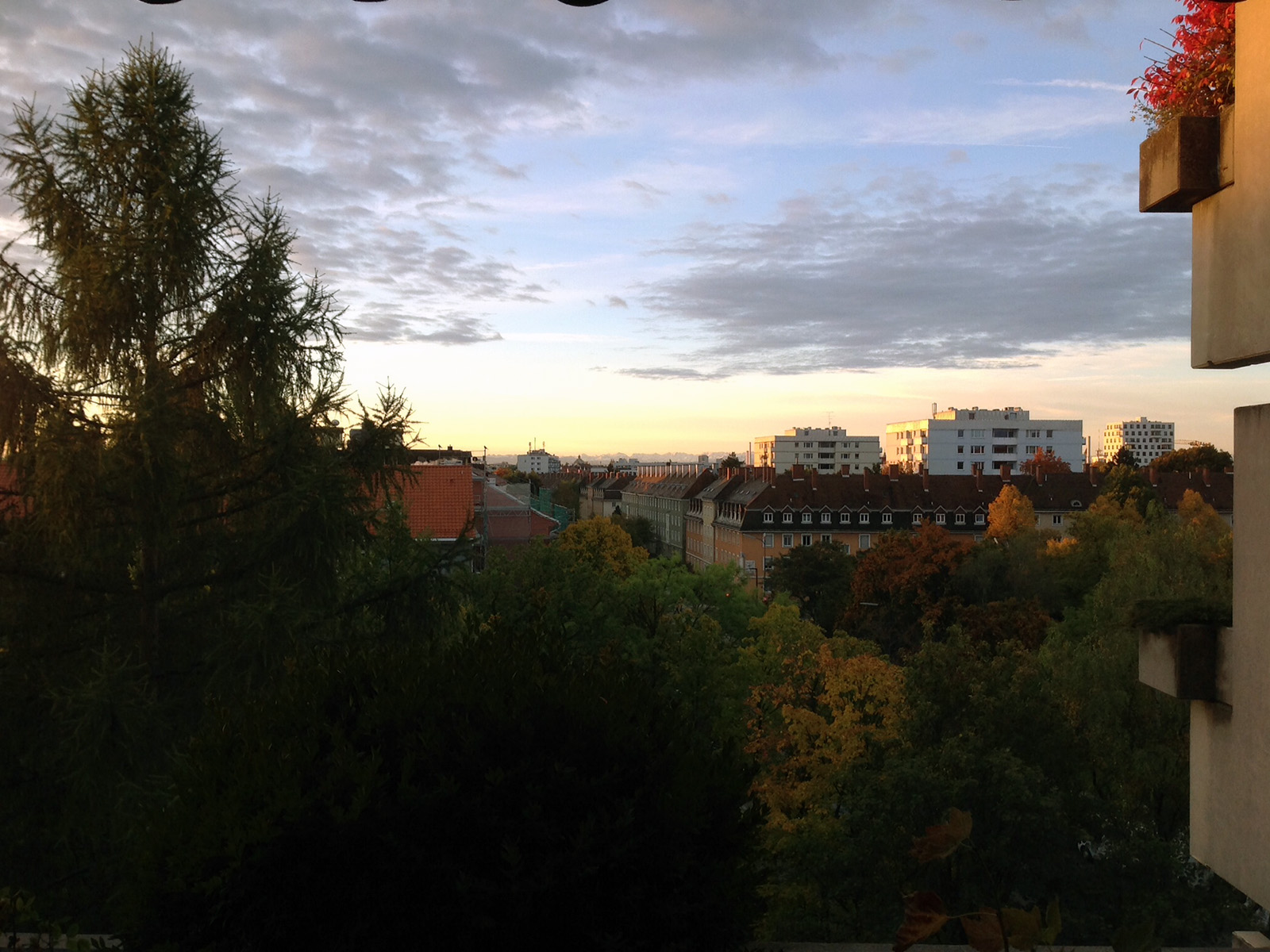 Zuhause auf dem Balkon