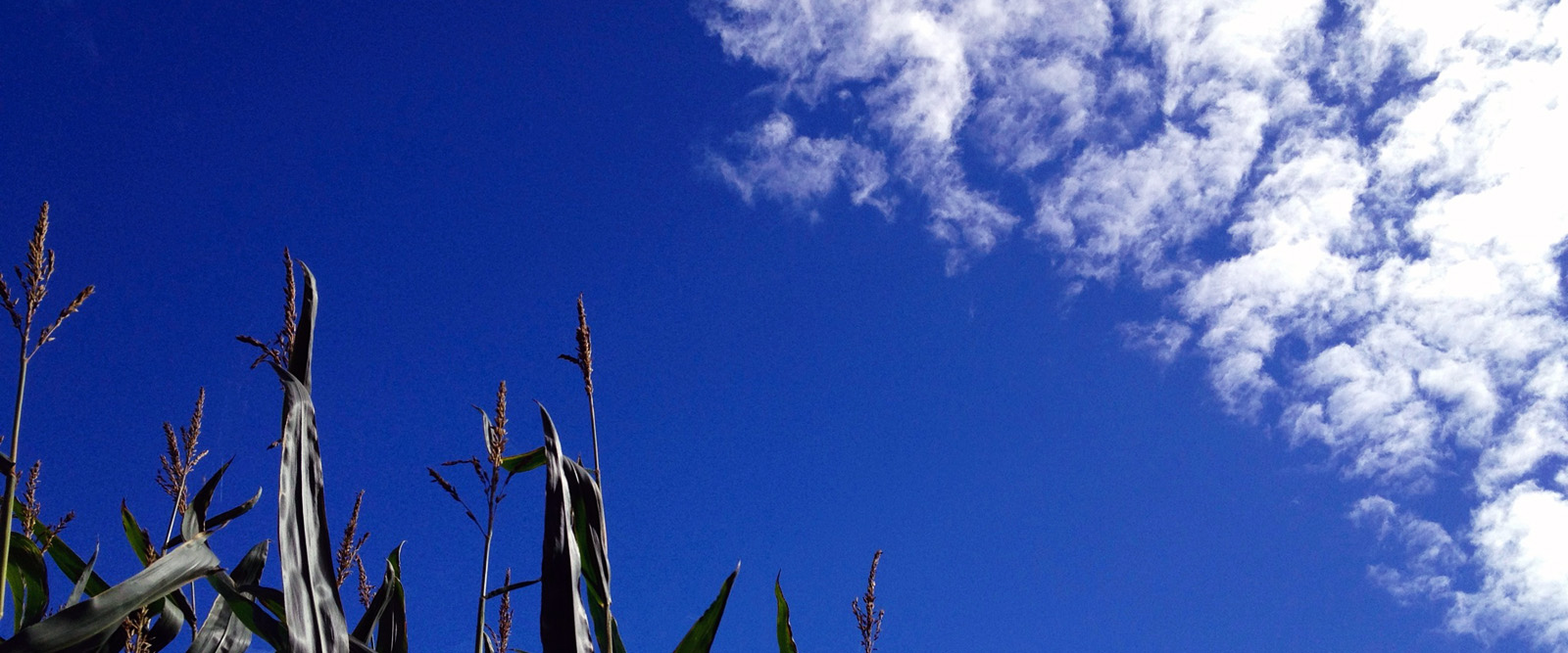 Wolkenhimmel