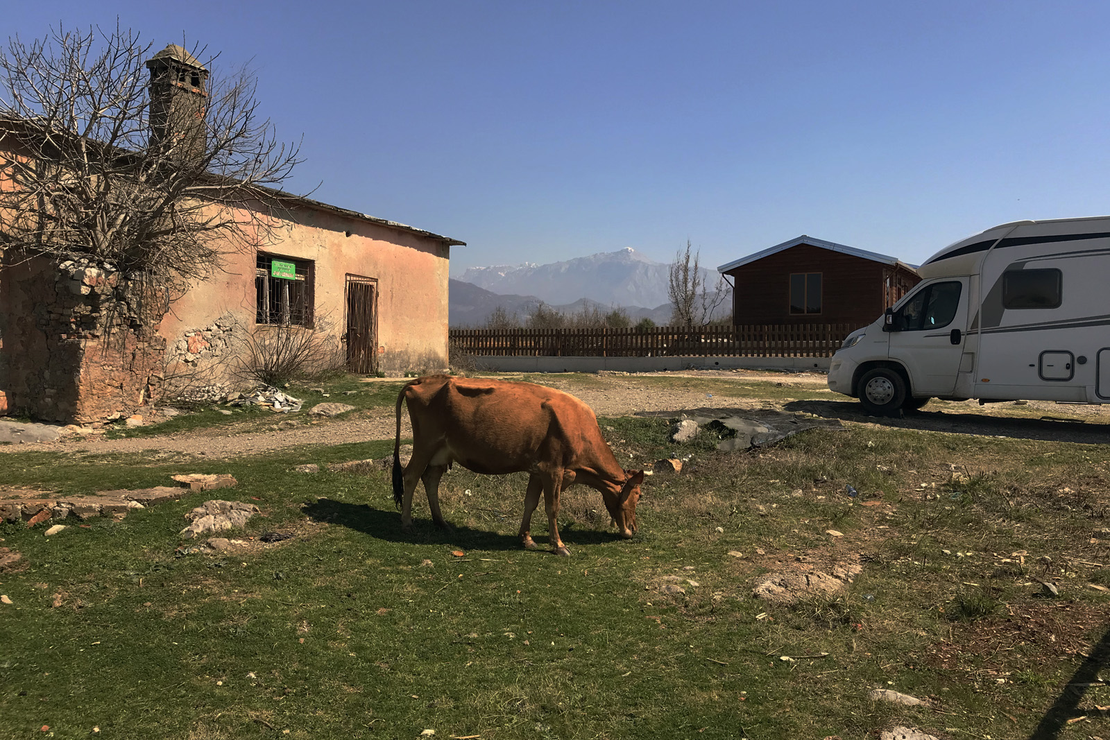 Gestrandet in Albanien